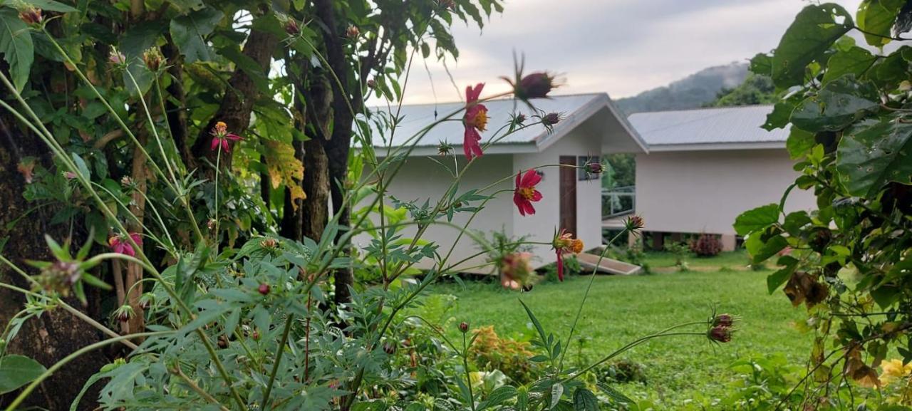 Bed and Breakfast Rancho Huacatay Монте-Верде Экстерьер фото